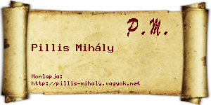 Pillis Mihály névjegykártya